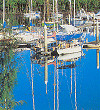 The Marina at Port Douglas