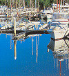 The Marina at Port Douglas