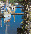 The Marina at Port Douglas