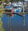 The Marina at Port Douglas