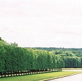 Versailles - The Grand Canal