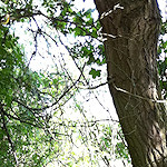 Riverside culvert