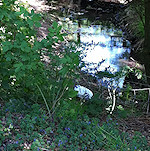 Riverside culvert
