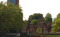 The Royal Shakespeare Theatre
