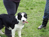 Cello & brother Ruban, with mother Folly leaving the scene!