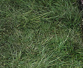 Smartie & nephew Teaser