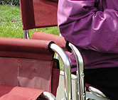 Star & Honorary Darian Trix