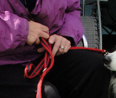 Star & Honorary Darian Trix