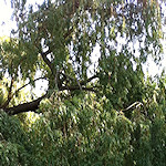 View from the Colin P Witter lock