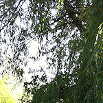 View from the Colin P Witter lock