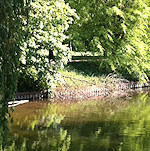 View from the Colin P Witter lock