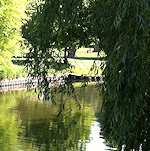 View from the Colin P Witter lock