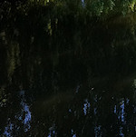 View from the Colin P Witter lock