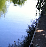 View from the Colin P Witter lock