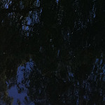 View from the Colin P Witter lock