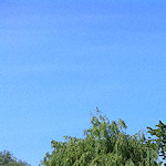 The Colin P Witter lock