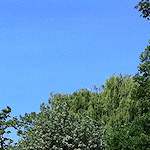 The Colin P Witter lock