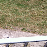 The Colin P Witter lock