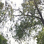 View from the Colin P Witter lock