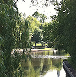 View from the Colin P Witter lock