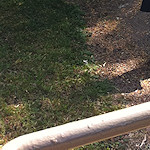 View from the Colin P Witter lock