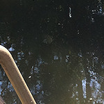 View from the Colin P Witter lock